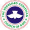Redeem Logo Icon