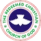 Redeem Logo Icon